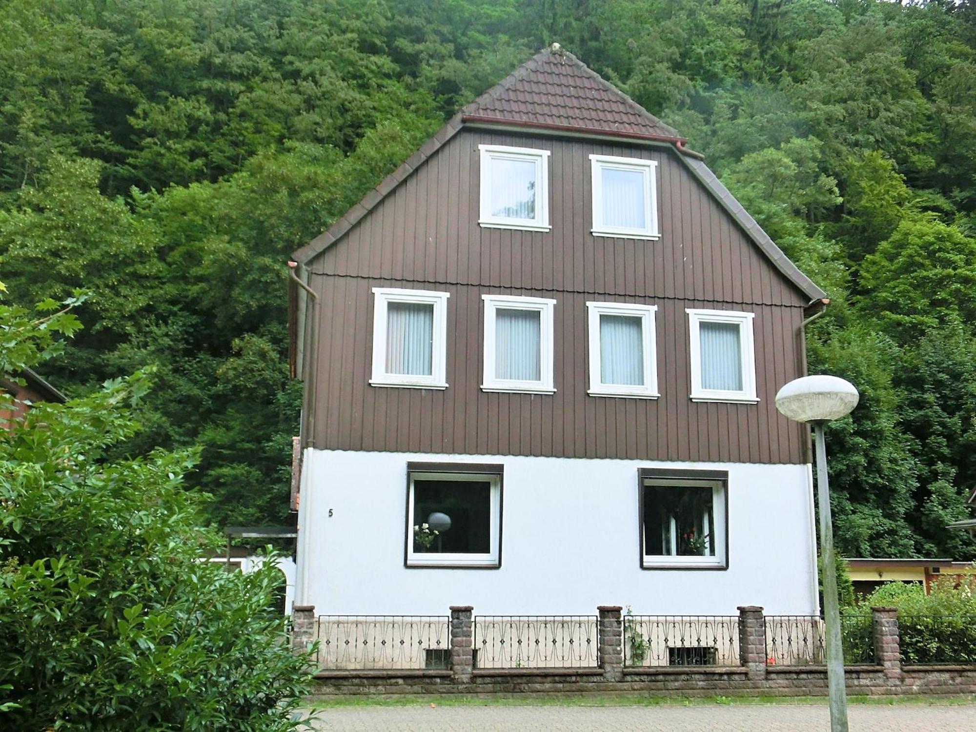 Spacious Group House In The Harz Region Zorge Exteriör bild